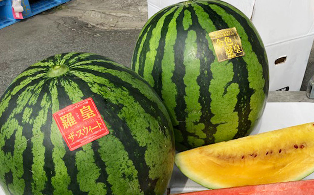 熊本県産スイカ ラオウザスイート＆金色羅皇