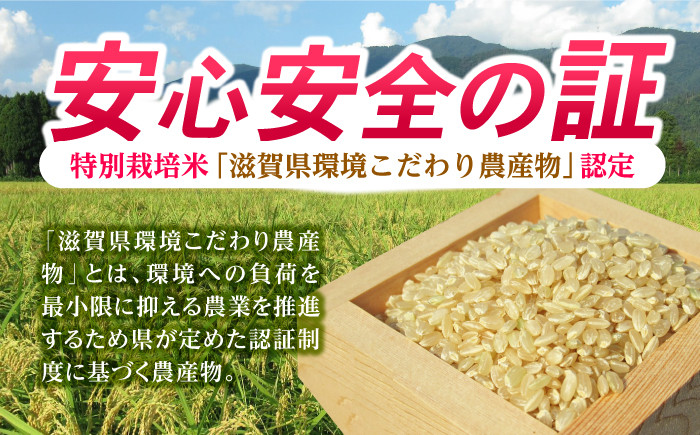 滋賀県 低農薬栽培 ミルキークイーン 玄米 3kg　米 お米 玄米  3kg 米 お米 ご飯 ごはん ゴハン
