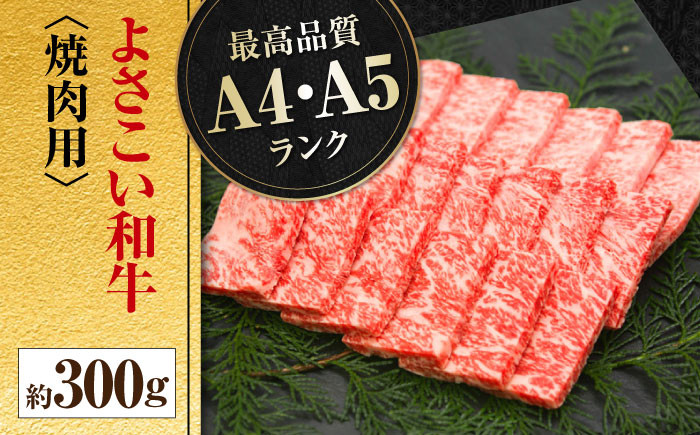 高知県産 よさこい和牛 焼肉用 約300g 牛肉 国産 焼き肉 BBQ A4 A5  [ATAP061]