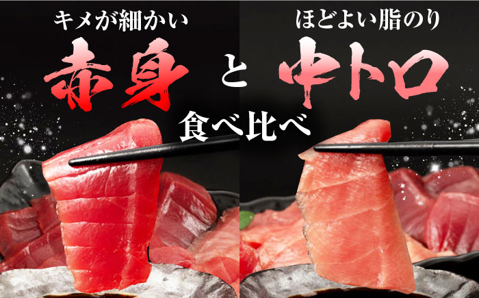 長崎 五島 対馬 佐世保 長崎県産 マグロ まぐろ 鮪 中トロ 中とろ 赤身 刺身 海鮮丼 寿司 真空パック 超速冷凍 贈答 