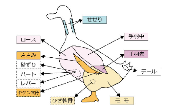 土佐鴨 かも鍋セット 土佐鴨 土佐ジロー飼育研究会  [ATAC585]