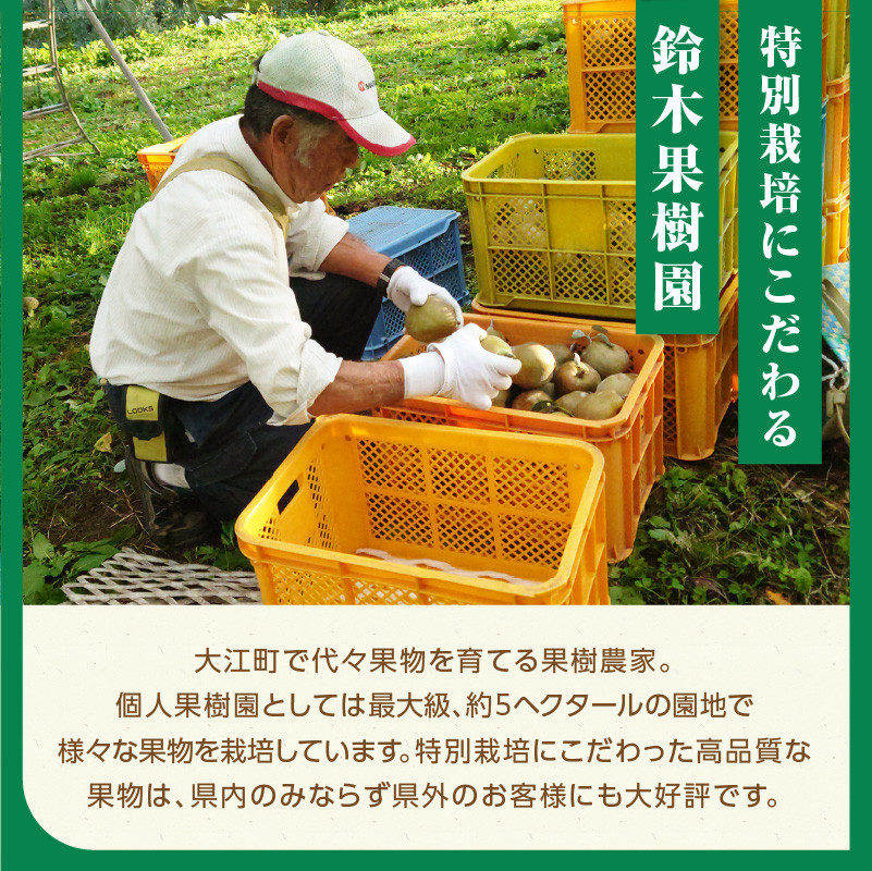 《先行受付》特別栽培 大玉 ラフランス 約5kg・秀品4L～3L 【2026年11月上旬頃～発送予定】