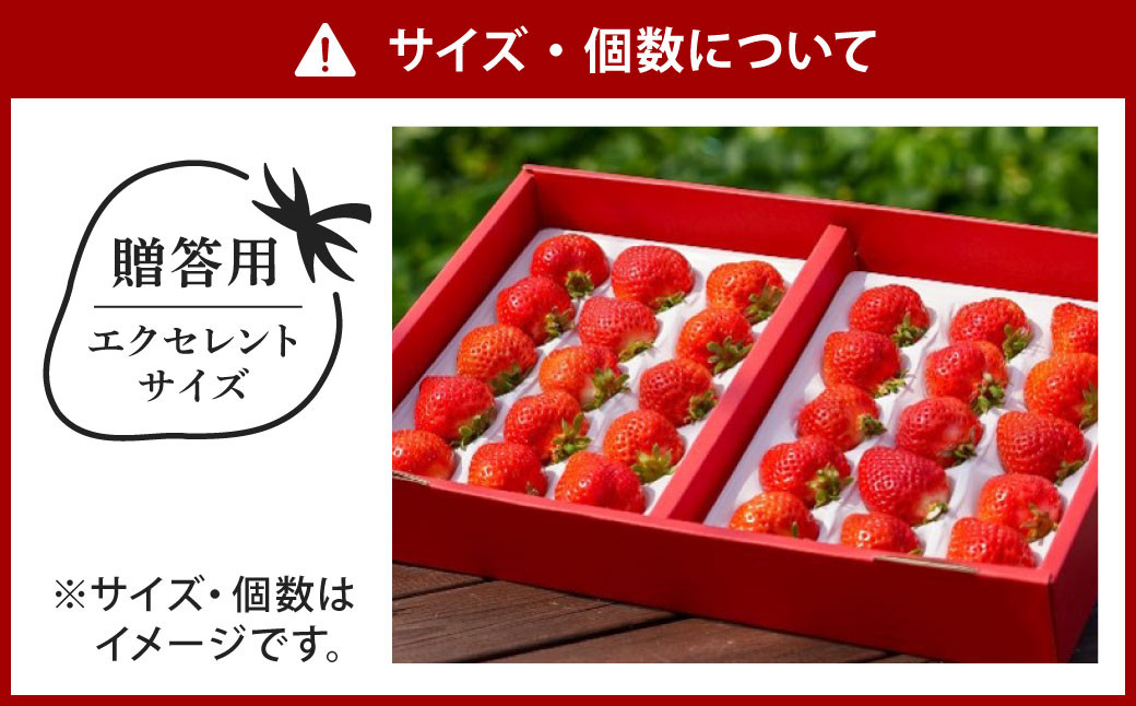 贈答用 あまおう 約400g