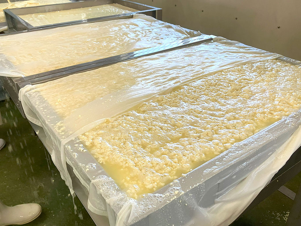 平家の落武者 保存食 詰め合わせ （徒士） セット 計8種