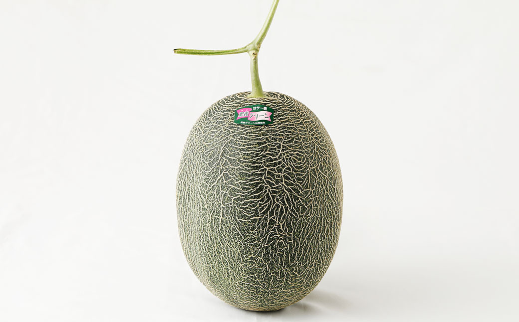 熊本県産 肥後グリーンメロン 2玉入り