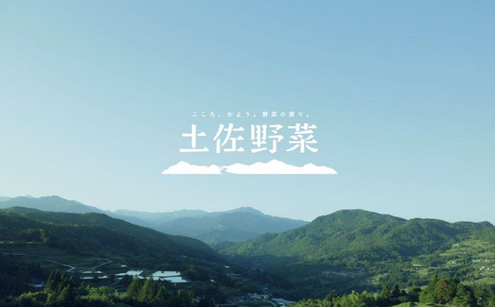 土佐の太陽をいっぱいに浴びた旬の野菜生姜約200gのセット「大」【土佐野菜】 [ATBA004]