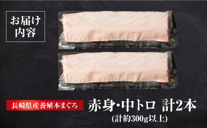 長崎 五島 対馬 佐世保 長崎県産 マグロ まぐろ 鮪 中トロ 中とろ 赤身 刺身 海鮮丼 寿司 真空パック 超速冷凍 贈答 