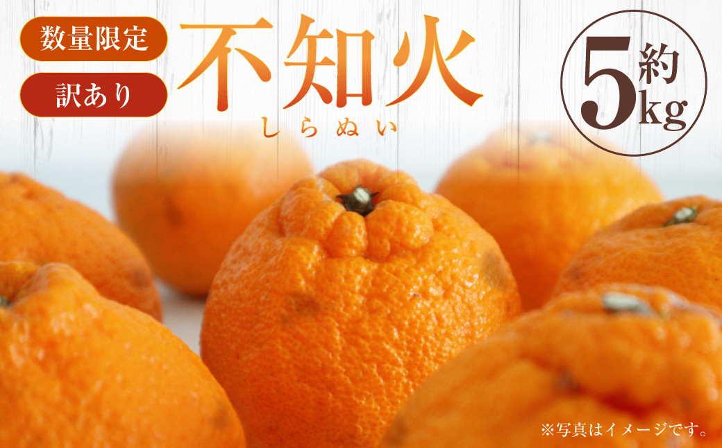 【訳あり】不知火 約5kg