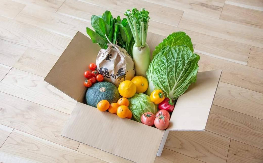 【全6回定期便】 農産物直売所おすすめ! 旬野菜 セット 5~10品目