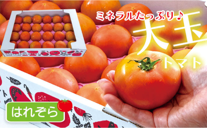 大容量4kg 高知の太陽と水で育てたこだわりのトマト「太陽の恵み」!! 【株式会社　羽根】 [ATCK001]