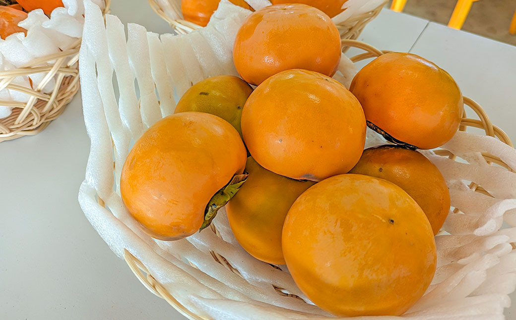 《訳あり》山之上産 富有柿 家庭用 3kg（10個～18個）