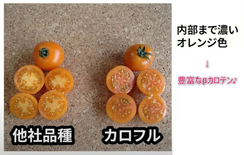 自然の恵み、一滴に凝縮。プレミアムなトマトジュースの贅沢。