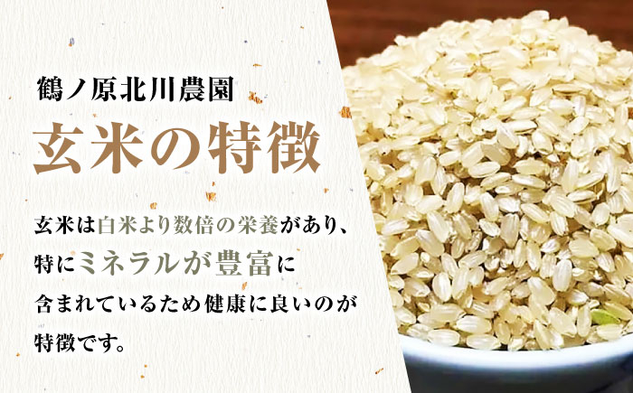 栽培期間中農薬不使用 令和7年産 佐賀県産ゆうだい21 玄米5kg /鶴ノ原北川農園 [UDL024]