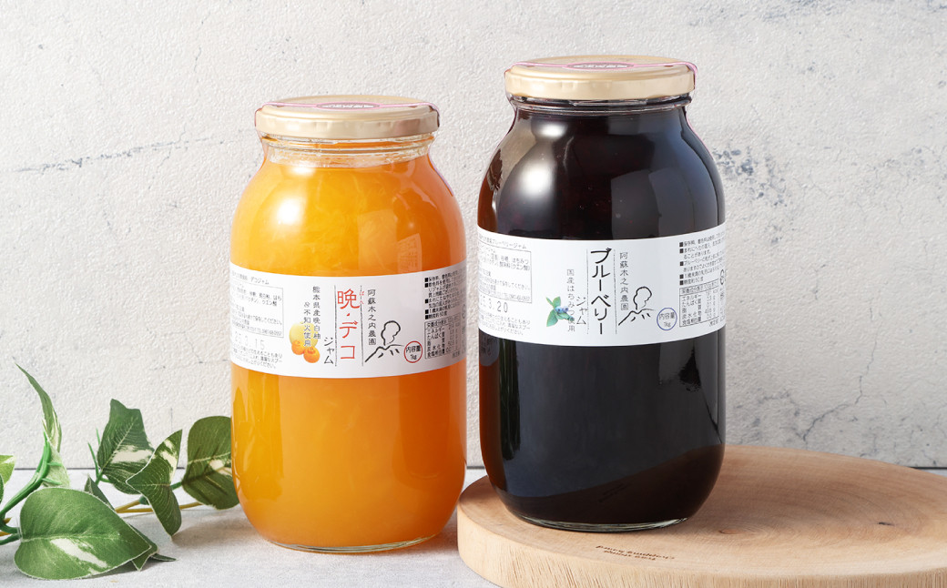 阿蘇 木之内農園の 晩・デコジャム と ブルーベリージャム セット 各1kg 合計2kg