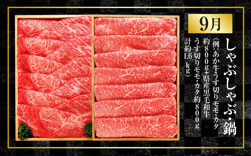 【年4回定期便】くまもと肉の極み定期便③