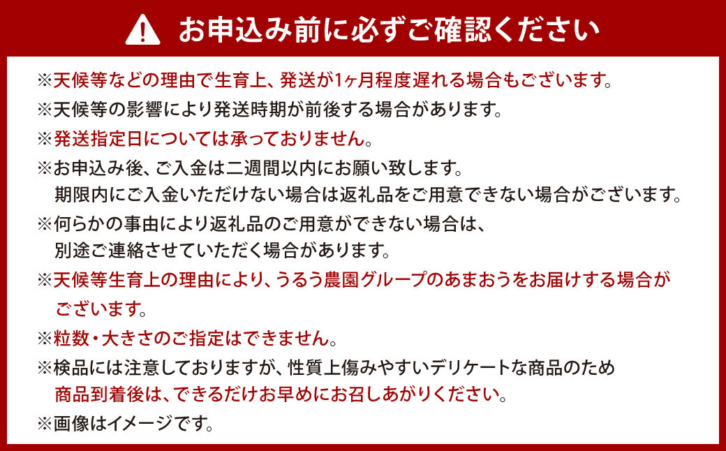 うるう農園 サイズ色々 あまおう 4パック（約1140g）