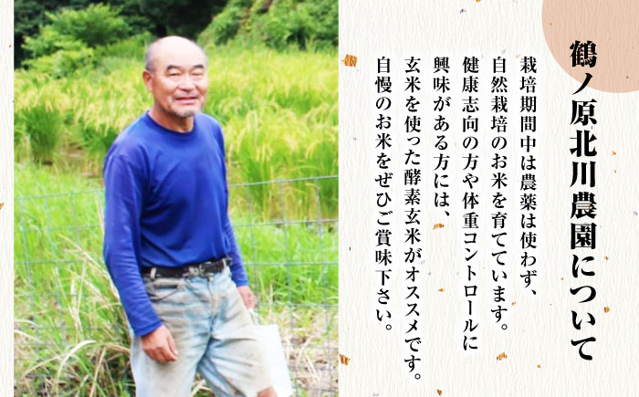 栽培期間中農薬不使用 令和7年産 佐賀県産ゆうだい21 玄米10kg /鶴ノ原北川農園 [UDL025]