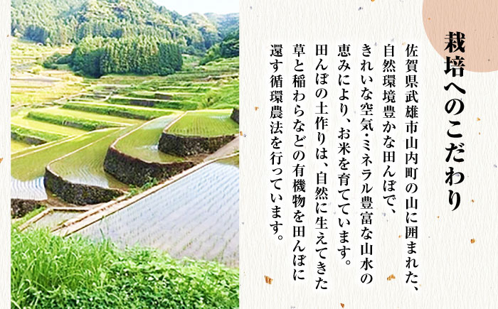 栽培期間中農薬不使用 令和7年産 佐賀県産ゆうだい21 玄米5kg /鶴ノ原北川農園 [UDL024]
