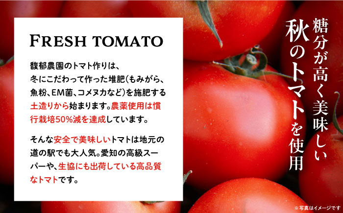 飲料 野菜ジュース トマトジュース セット 飲み物 リコピン 健康 美容 贈答 ギフト おすすめ 人気 岐阜県 恵那市