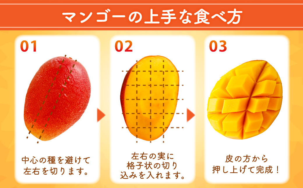 ＜宮崎県産 完熟マンゴー 3L×2玉(合計 約900g)＞