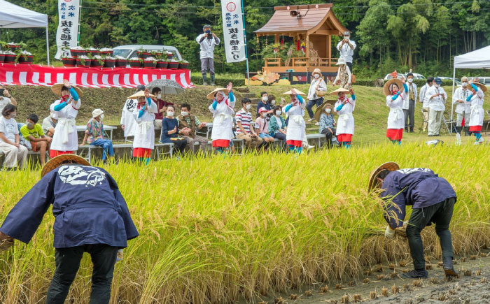 令和6年産 恵奈のあけぼの農林48号 精米 5kg