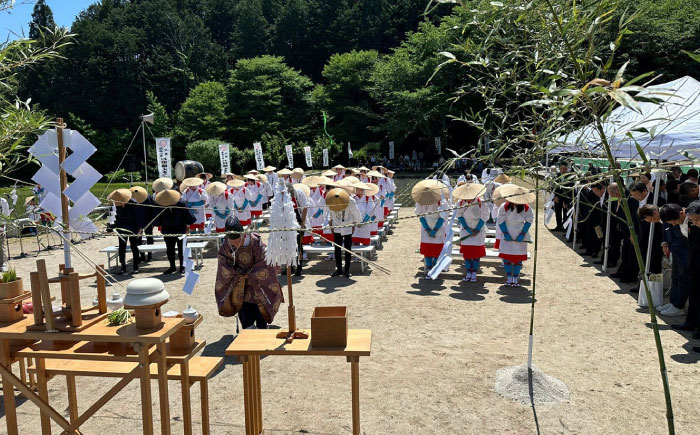 令和6年産 恵奈のあけぼの農林48号 精米 5kg