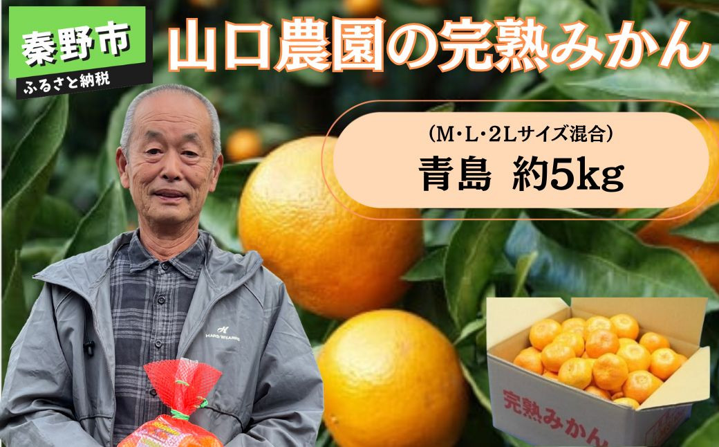 画像はイメージです。実際の品とはサイズ等が異なる場合があります。