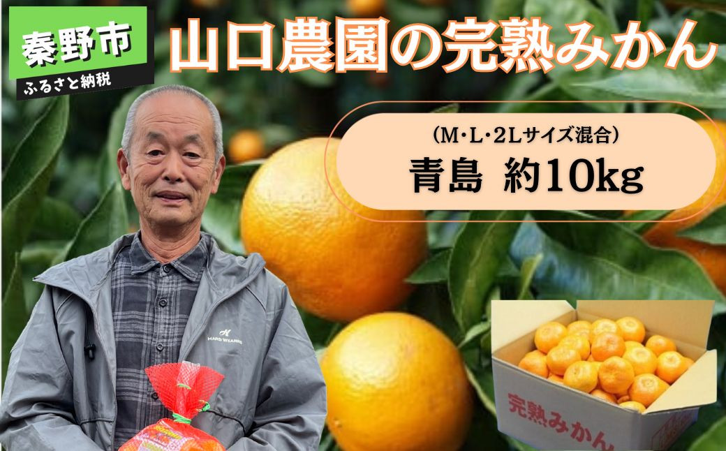 ※画像はイメージです。実際の品とはサイズ等が異なる場合があります。