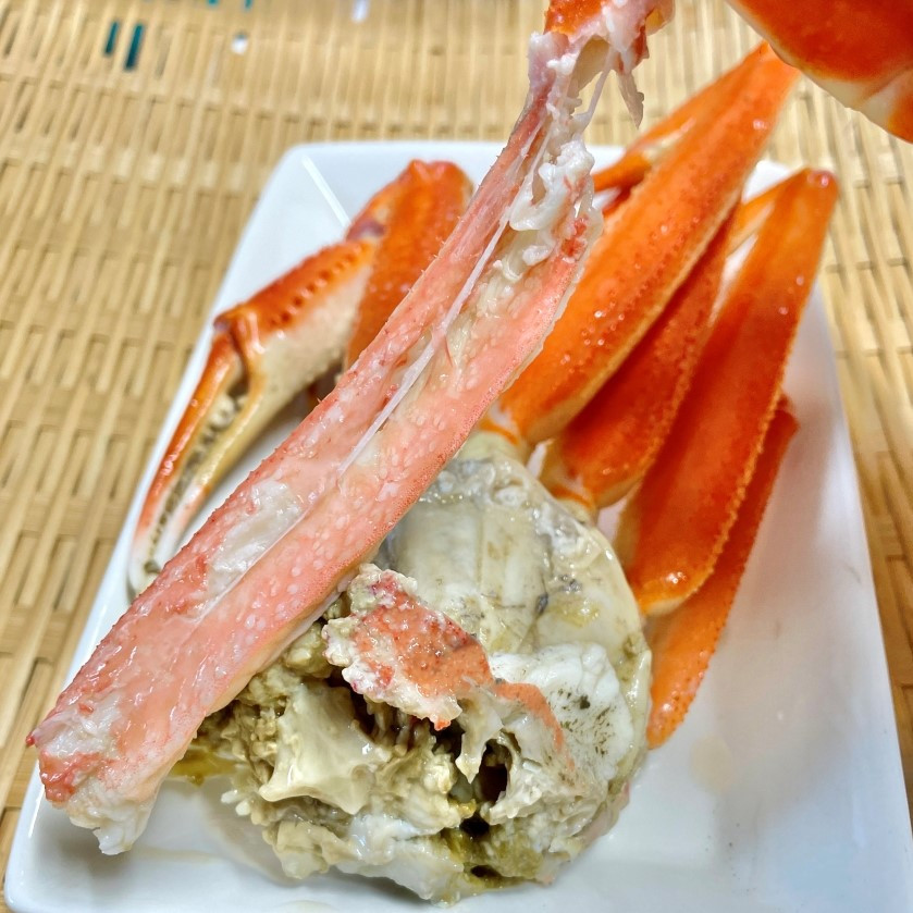 【訳あり】浜茹で 本ズワイガニ 足欠「雄ガニ 2杯（約600g）」