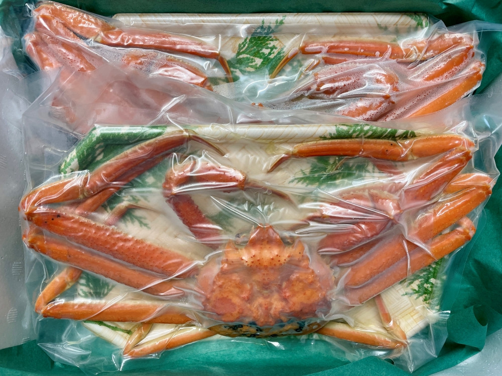 【訳あり】浜茹で 本ズワイガニ 足欠「雄ガニ 2杯（約600g）」