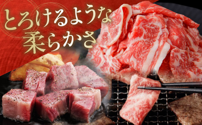 高知から美味しいお肉の玉手箱! 化粧箱入り 総計約840g 牛肉 ステーキ 焼肉 切り落とし 国産 A4 A5 