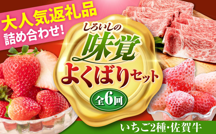 1月発送開始!いちごと佐賀牛の贅沢定期便!