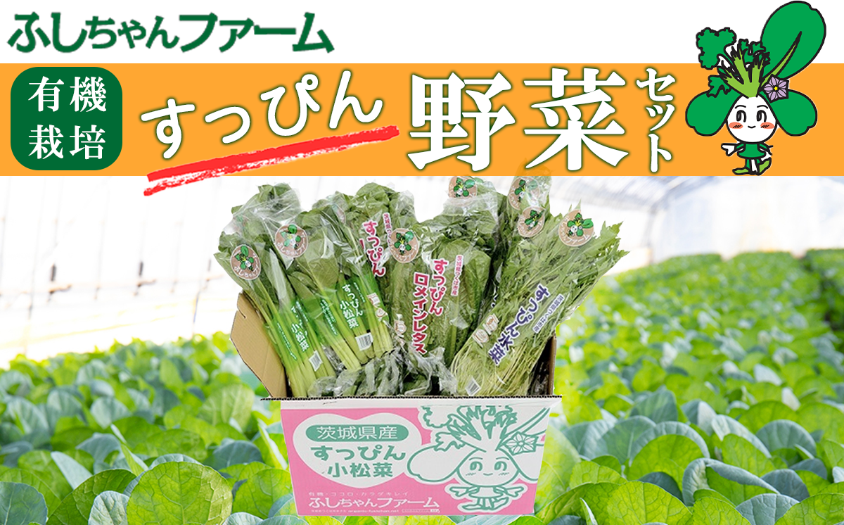 完全無農薬で有機栽培された、小松菜・ロメインレタス・水菜のセットです。