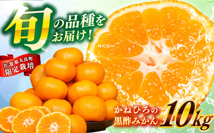 画像はイメージです。