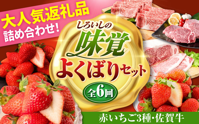 2月発送開始！いちご3種と佐賀牛の贅沢定期便！