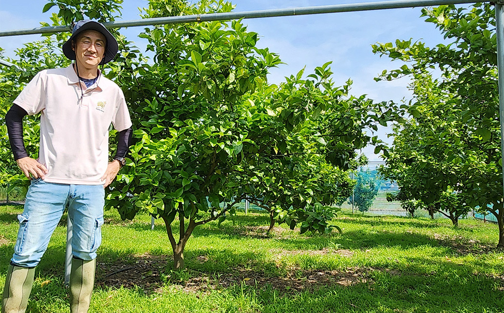 国産レモン 2kg ｜ フルーツ 果物 レモン 柑橘 れもん 檸檬 国産 静岡県 菊川市