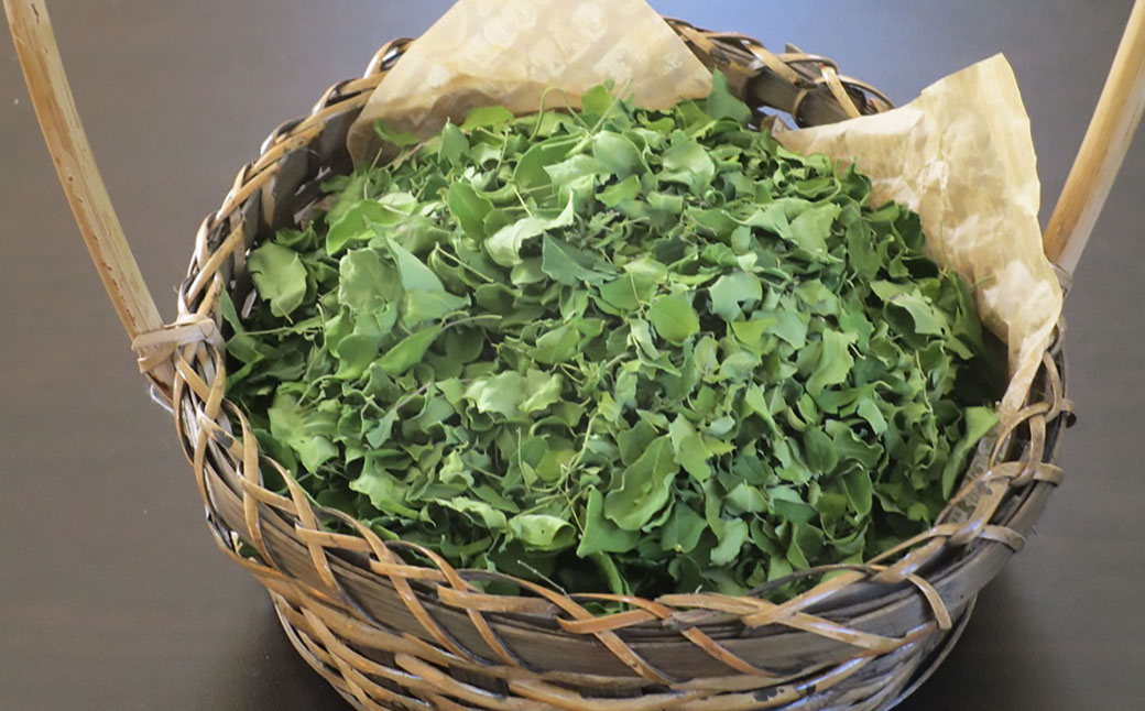 モリンガ茶&モリンガパウダーセット(熊本県天草産100%) 計2セット ティーバッグ パウダー お茶 茶葉