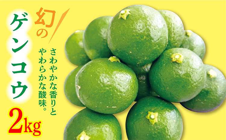 幻のゲンコウジュース２kg ※写真はイメージです