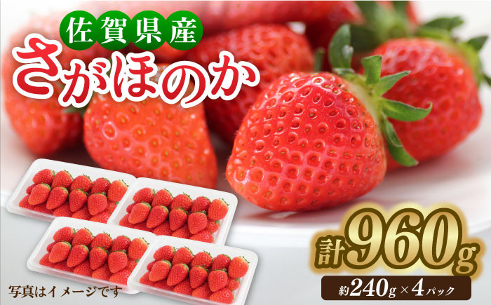 みずみずしい果肉!さがほのかレギュラーパック4P 240g×4