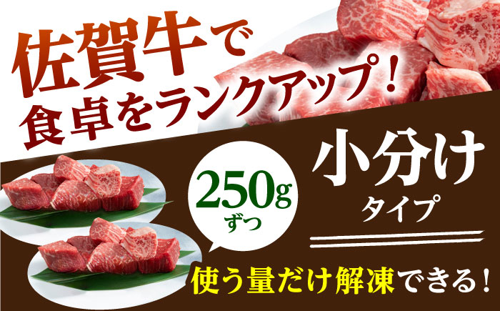 佐賀牛 ヒレ サイコロステーキ 500g (250g×2パック)【山下牛舎】 [HAD036] 牛肉 ヒレ フィレ ステーキ