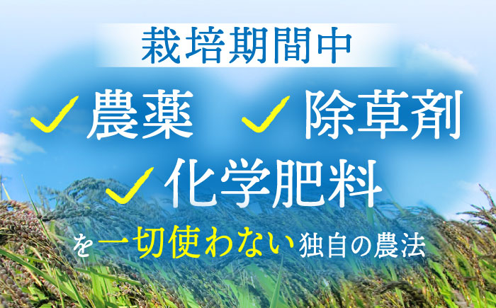 雑穀 雑穀米 米 古代米 黒米 赤米 麦 発芽玄米 玄米 パック 小分け 混ぜるだけ ブレンド 国産