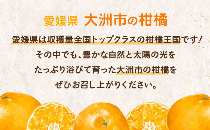 温州みかん 5kg SからLサイズ混合 （40から50個入）