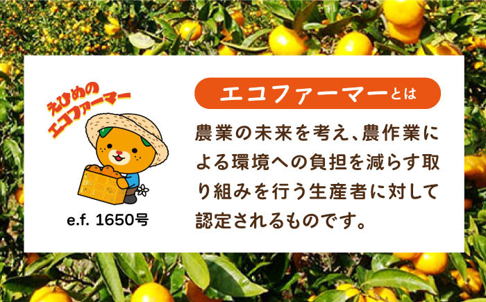 温州みかん 5kg SからLサイズ混合 （40から50個入）