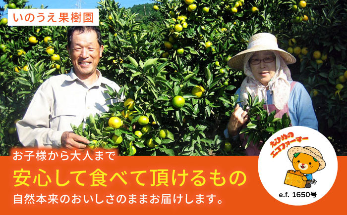 温州みかん 5kg SからLサイズ混合 （40から50個入）