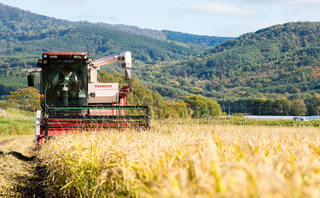 【4ヶ月定期便】北海道産 特別栽培米ゆめぴりか（玄米） 5kg×4回 合計20kg