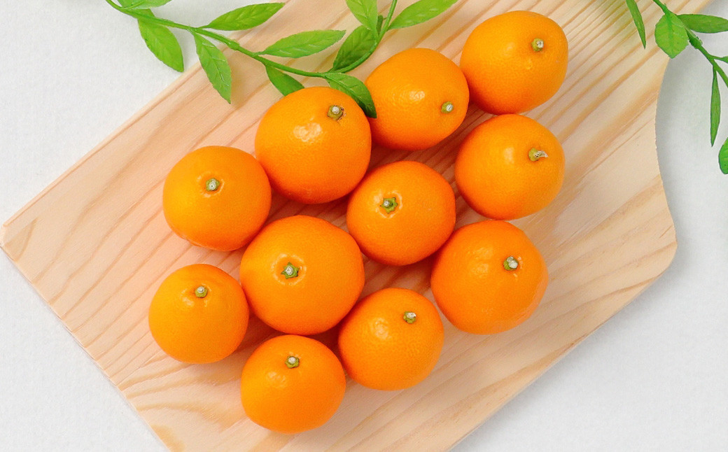 ＜宮崎県産 大粒 完熟キンカン  たまたま 約1kg 化粧箱＞