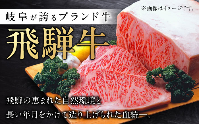 飛騨牛 切り落とし 牛肉 飛騨牛 切り落とし きりおとし 切りおとし 肉 和牛