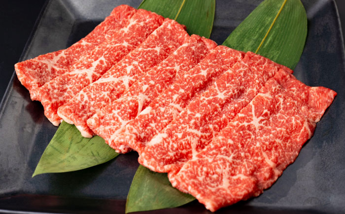 人気 和牛  長崎和牛 希少 柔らかい やわらかい 贈り物 ギフト  肉 お祝い