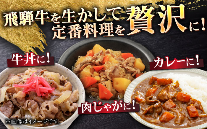 飛騨牛 切り落とし 牛肉 飛騨牛 切り落とし きりおとし 切りおとし 肉 和牛