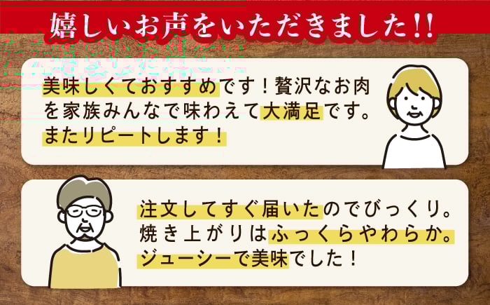 国産 牛肉100% ハンバーグ はんばーぐ A5 冷凍 調理済み 味付き 和牛 ハンバーグ 冷凍 定期便 定期 ていきびん